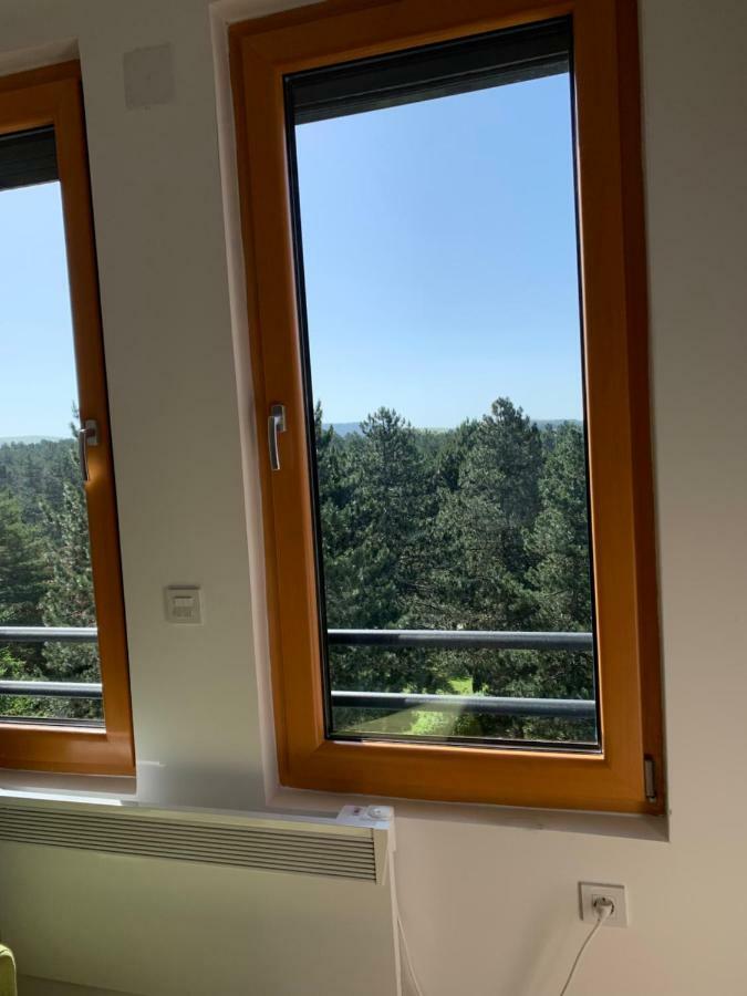 Apartment Teodora Zlatibor